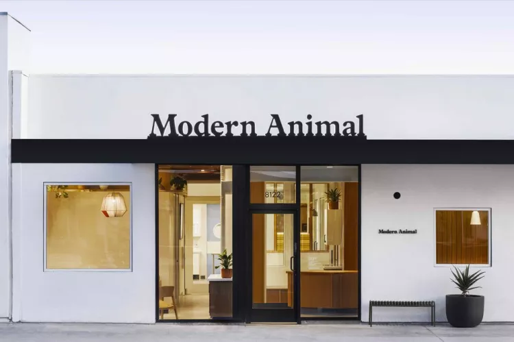 Modern Animal, California, Los Angeles